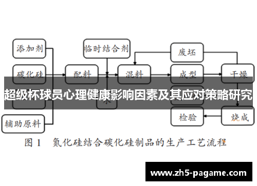 超级杯球员心理健康影响因素及其应对策略研究 超级杯球员心理健康影响因素及其应对策略研究